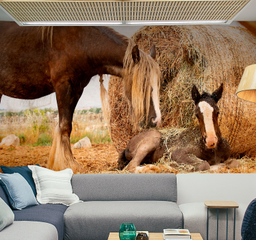 young horse with wheet nature murals - TenStickers
