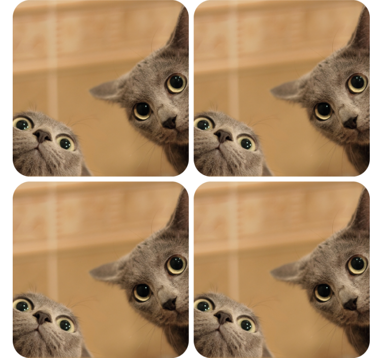 Curious Cat Faces geek coasters - TenStickers