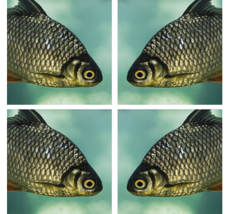 Geek coasters with lifelike fish designs - TenStickers