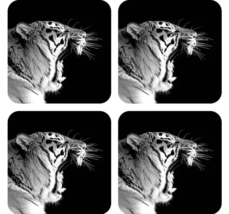 White Tiger modern coaster - TenStickers