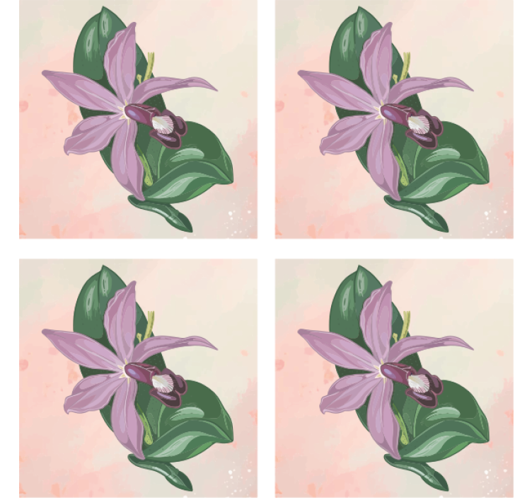 Modern coaster elegant orchid blossom - TenStickers