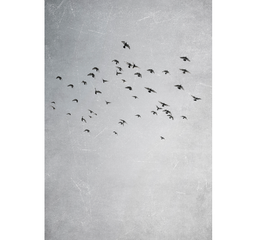 birds flying animal poster - TenStickers
