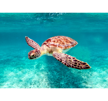 sea ​​turtle animal poster - TenStickers