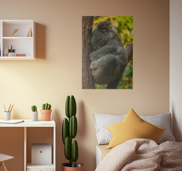 The koala is sleeping. poster for teenager - TenStickers