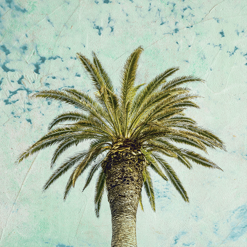 Living room poster retro palm tree design - TenStickers