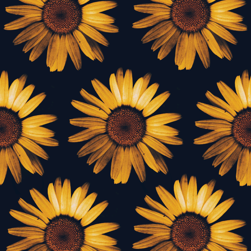 Living room poster yellow sunflower - TenStickers