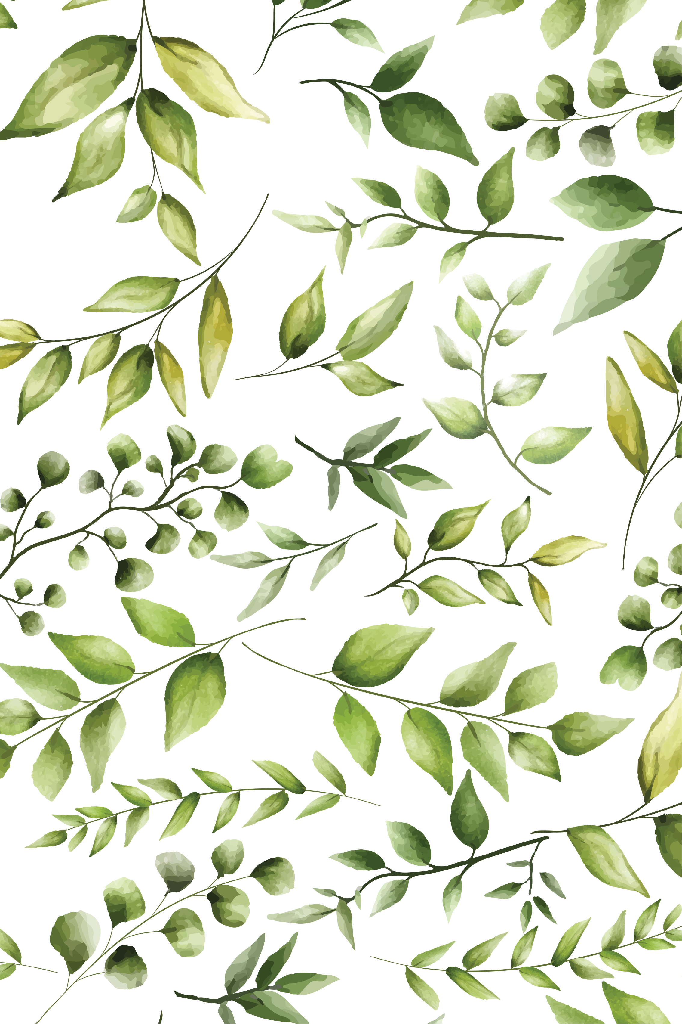 Plant poster watercolor eucalyptus leaves - TenStickers