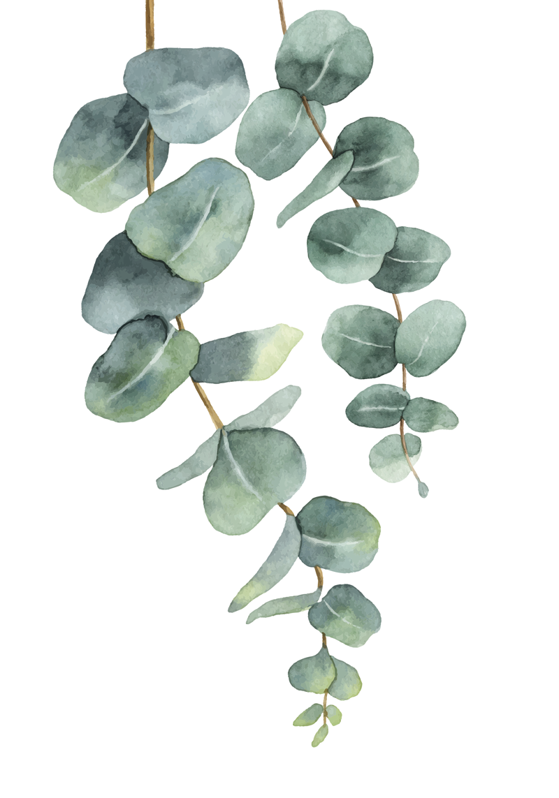 Tree poster with eucalyptus twigs - TenStickers