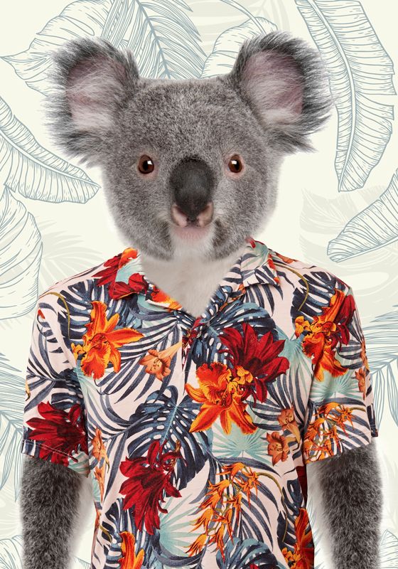 Elegant KoalaAn elegant koala with soft fur and a gentle demeanor - TenStickers