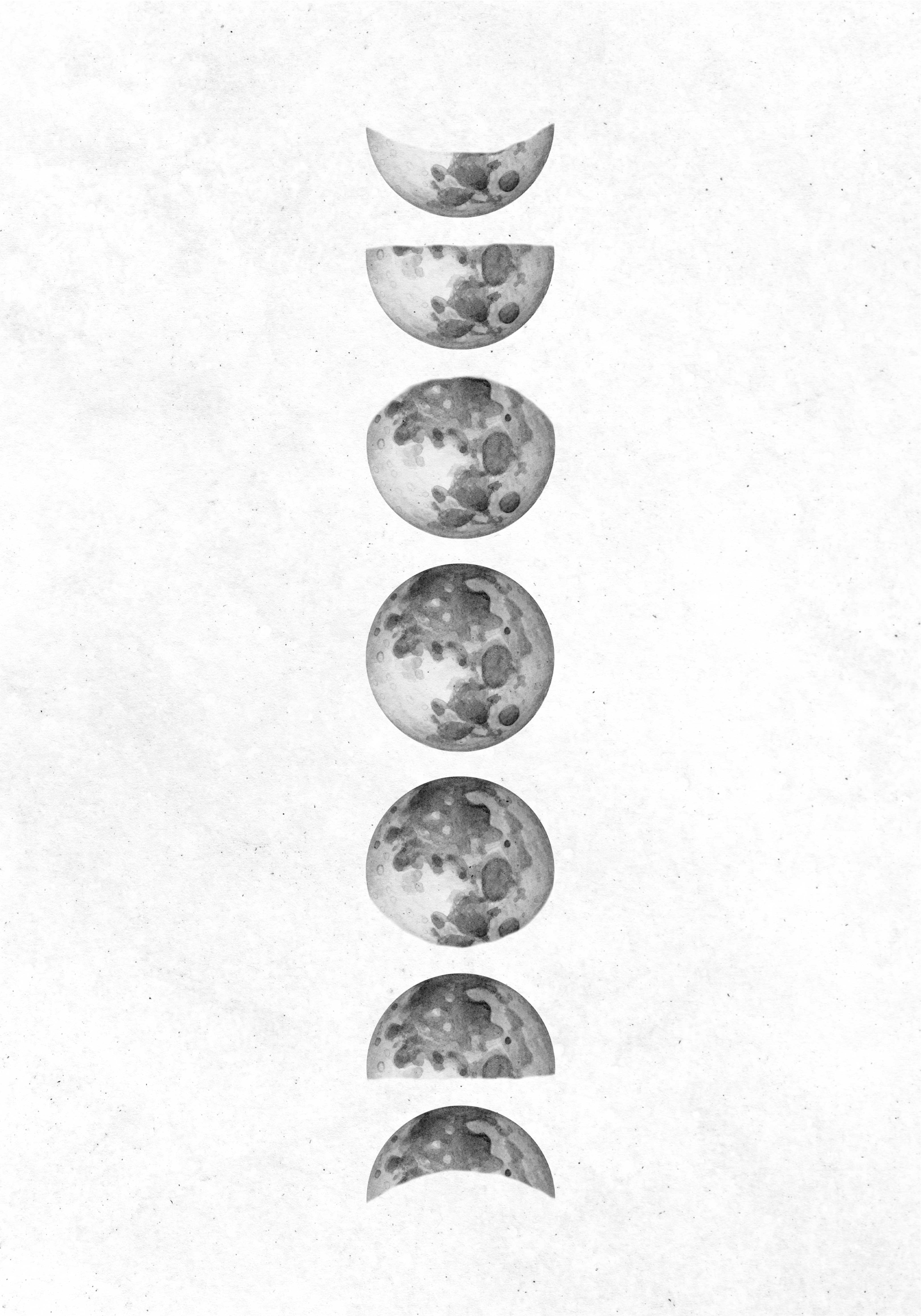 moon phases poster - TenStickers