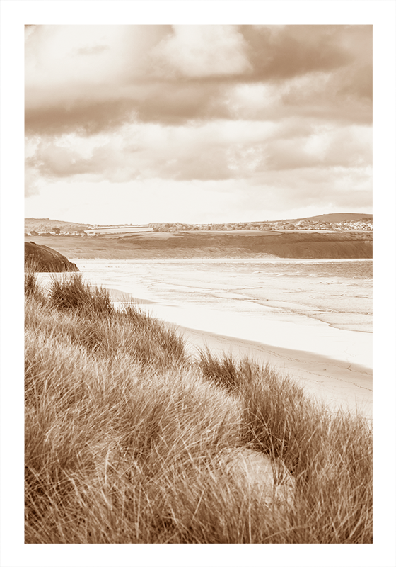 coastal landscape sepia tones landscape poster - TenStickers