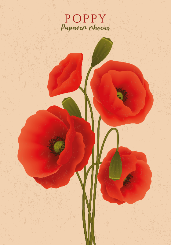 poppies flower poster - TenStickers