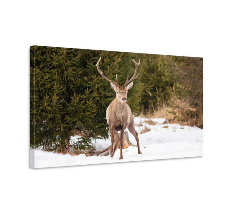 Stag canvas majestic stag in nature art print - TenStickers