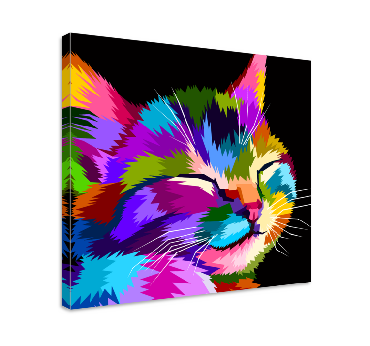 Cute Rainbow  Cat canvas print - TenStickers