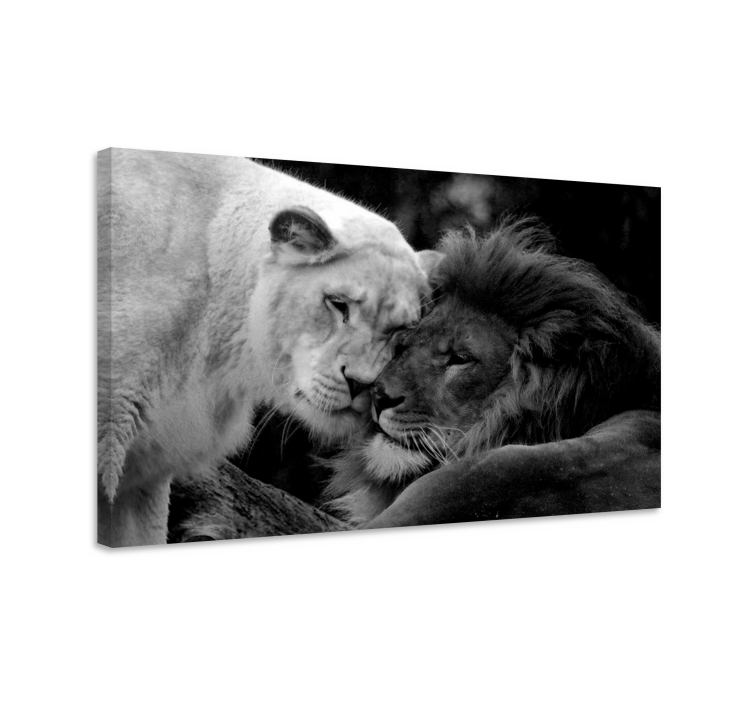 Black and white lions couple animal canvas - TenStickers