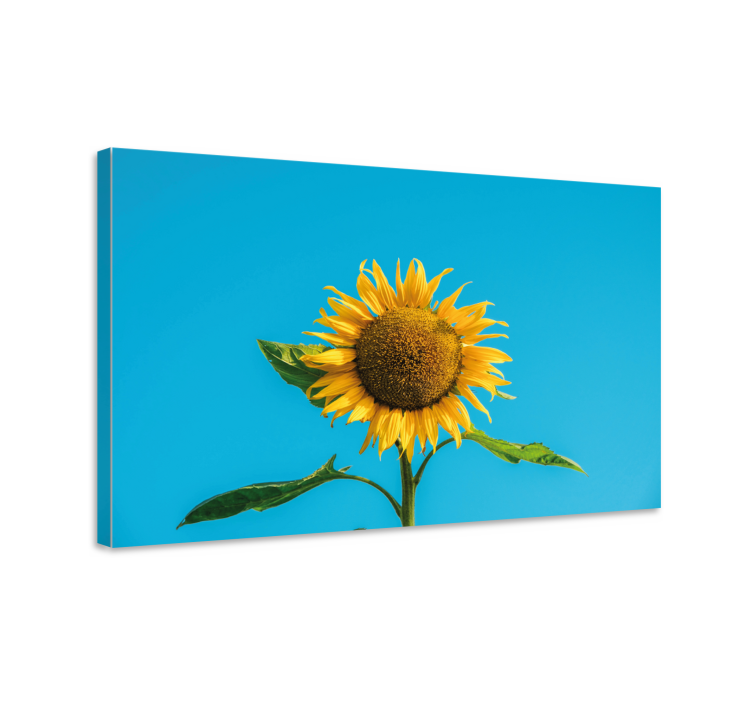 Flowers canvas radiant sunflower blossom - TenStickers