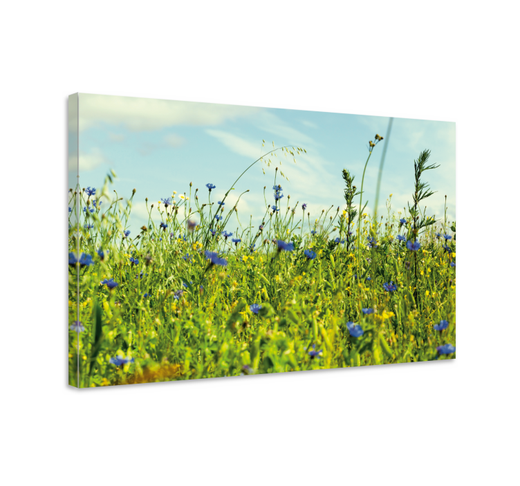 Flowers canvas wildflower meadow art print - TenStickers