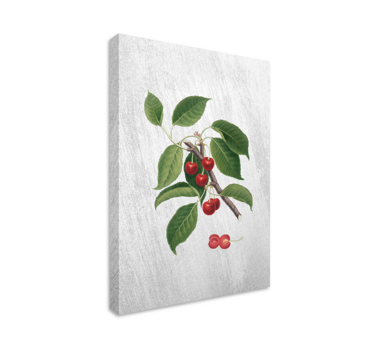 Fruit canvas wall art cherry branch detail - TenStickers