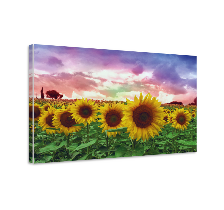 Vibrant Sunflower Field Flowers  canvas - TenStickers