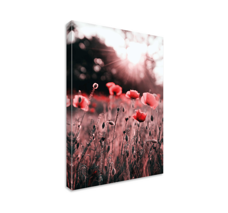 Poppy meadow radiance flowers canvas - TenStickers
