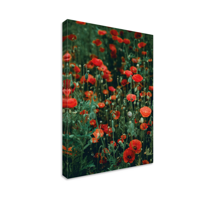 Flowers canvas red wildflowers meadow - TenStickers