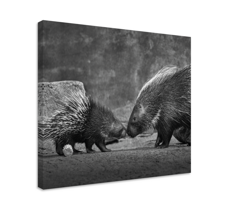 Porcupine with baby animal canvas prints - TenStickers