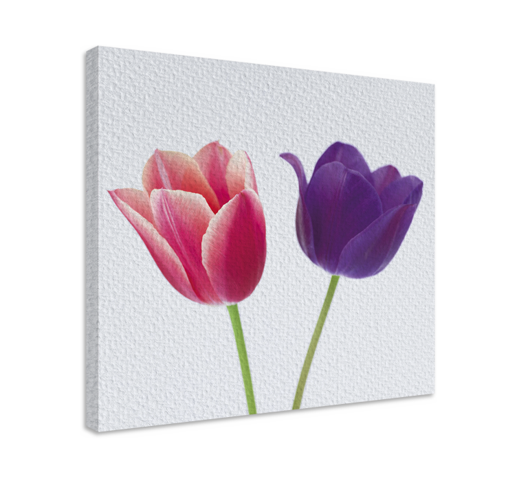 Flowers canvas tulip display - TenStickers