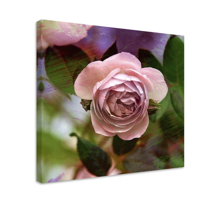 Flowers canvas pink rose bloom - TenStickers