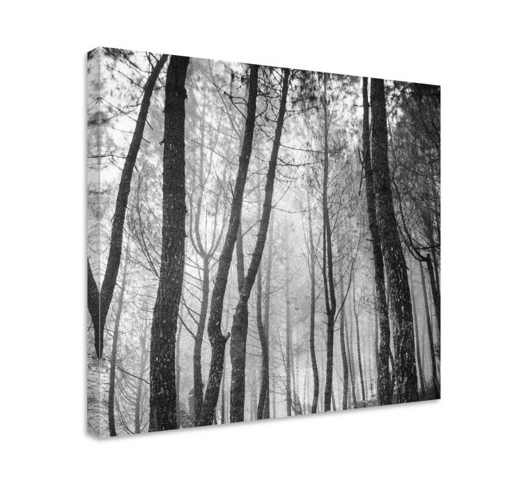 Foggy forest from above landscape canvas - TenStickers