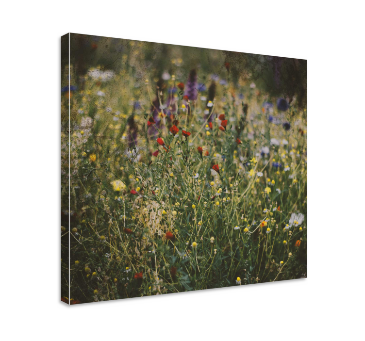 Flowers canvas wildflower meadow print - TenStickers