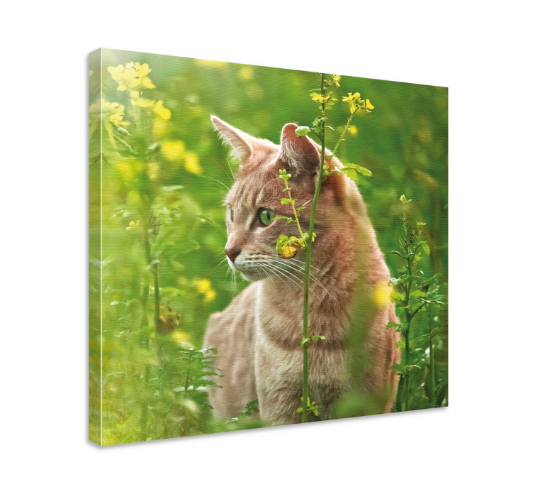 Cat wall art curious feline strolling - TenStickers
