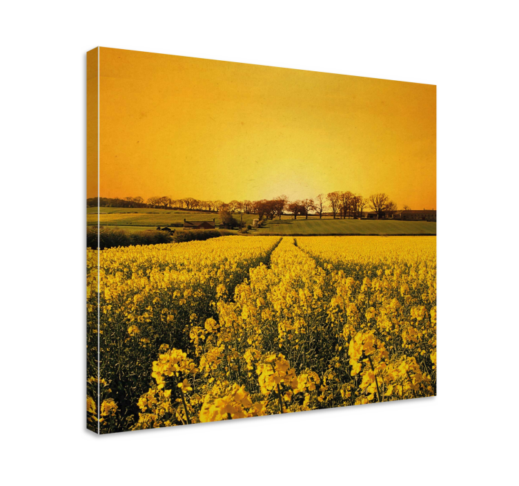 Yellow flowers field flower canvas - TenStickers