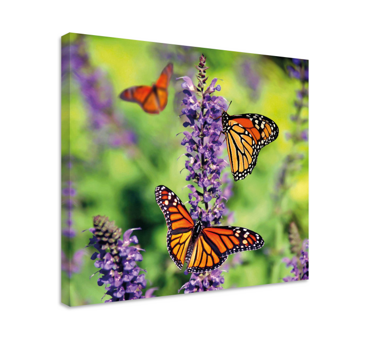 Butterfly canvas monarch butterflies gathering - TenStickers