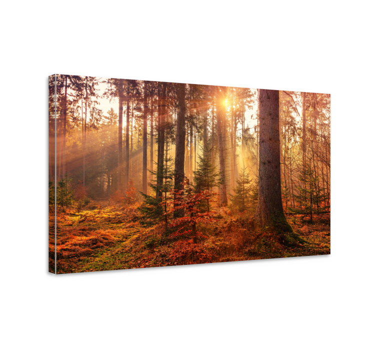 Tree canvas wall art forest calm - TenStickers