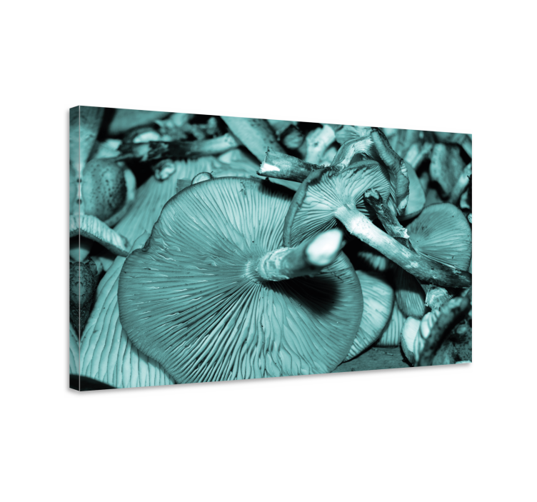 Flowers canvas mushroom growth art print - TenStickers