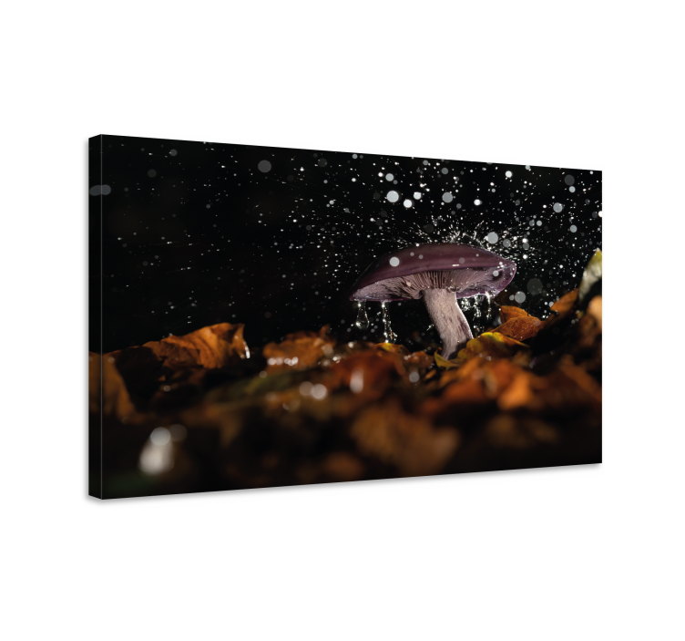 Flowers canvas mushroom burst - TenStickers