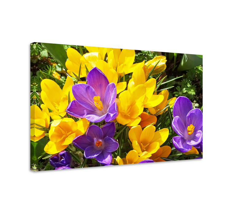 Flowers canvas colorful spring blossoms - TenStickers