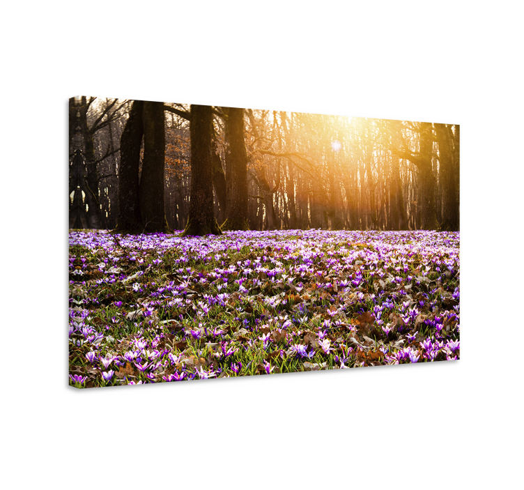 Beautiful purple crocus landscape flower canvas - TenStickers