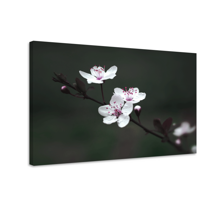Flowers canvas delicate blossoms in bloom - TenStickers
