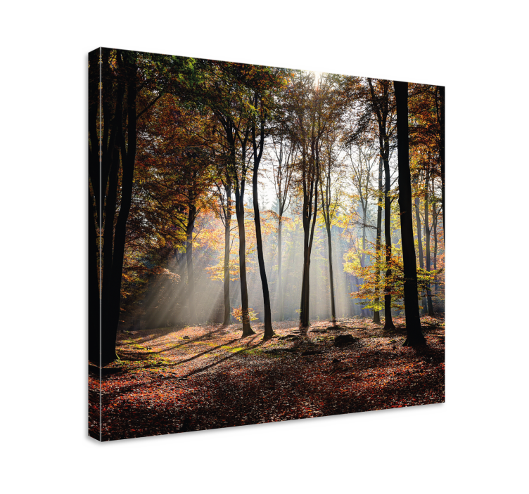 Sunshine foliage trees wall canvas - TenStickers