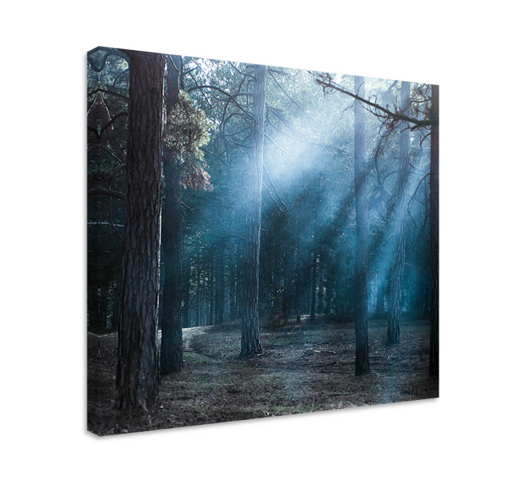 Landscape canvas hazy woodland path - TenStickers