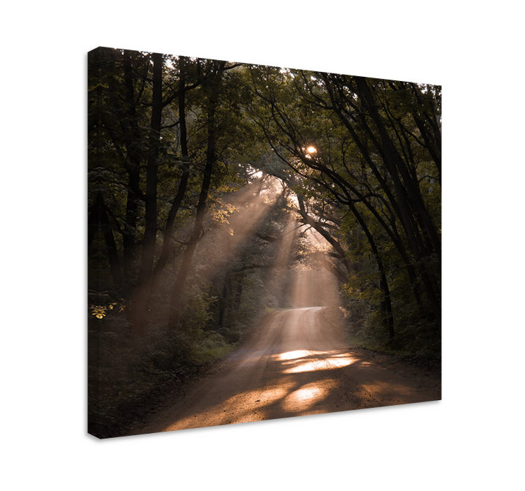 Landscape canvas sunshine woodland path - TenStickers