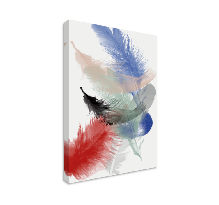 Feather canvas wall art colorful feather showcase - TenStickers
