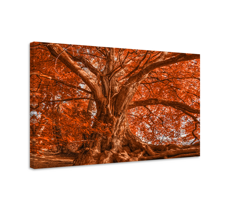 Tree canvas wall art majestic autumn canopy - TenStickers