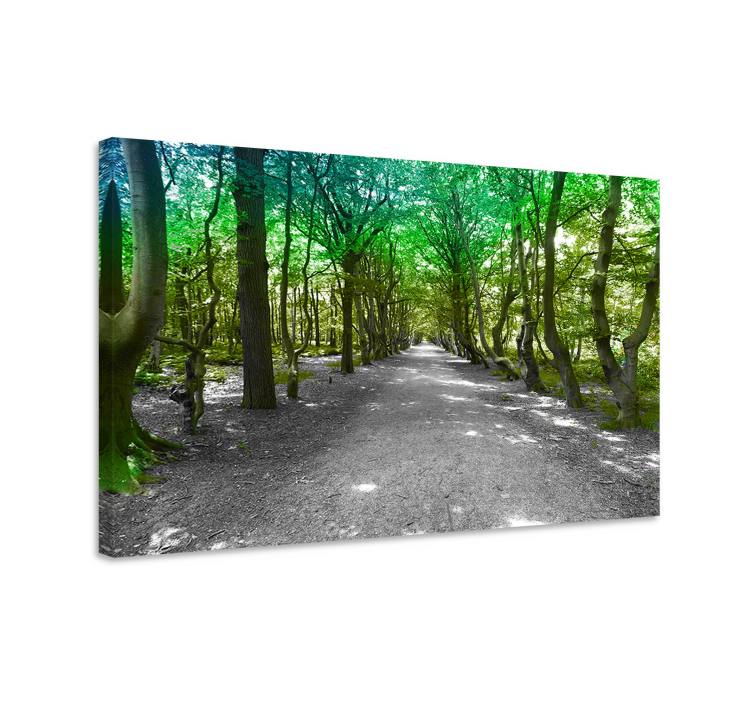 Tree canvas wall art verdant forest path - TenStickers