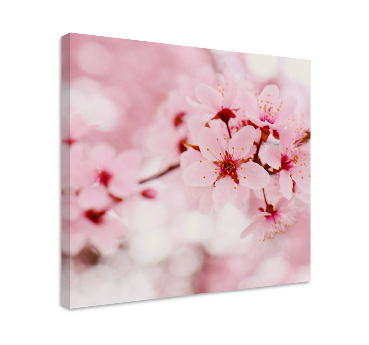 Pink bloom Photography art flower canvas - TenStickers