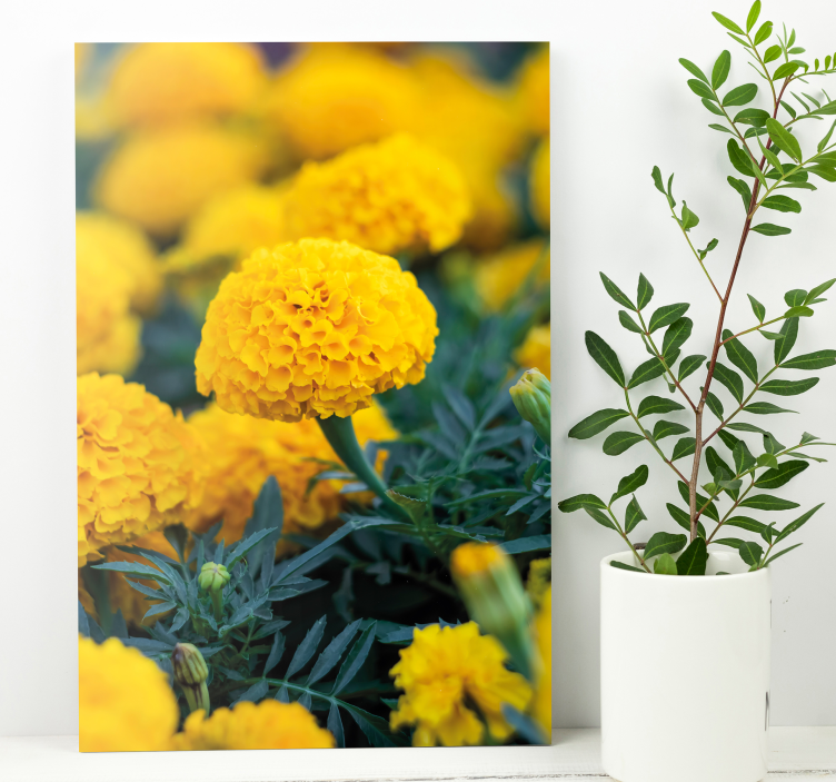 3D rama flores naranjas 3D canvas prints - TenStickers