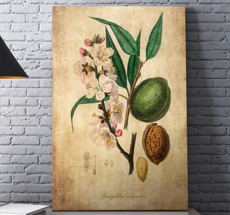 Almond canvas wall art for Master Bedroom - TenStickers