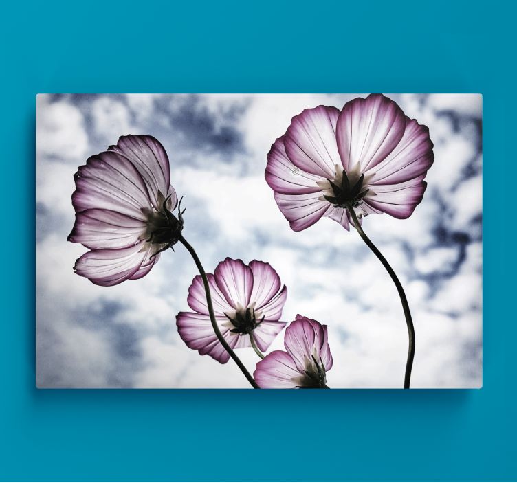 Elegant purple cosmos flower flower canvas - TenStickers
