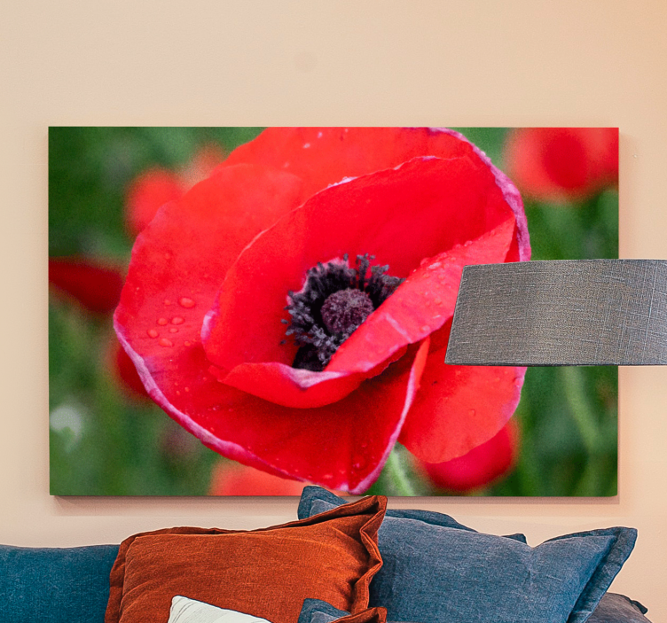 Flower canvas close-up poppy flower print - TenStickers